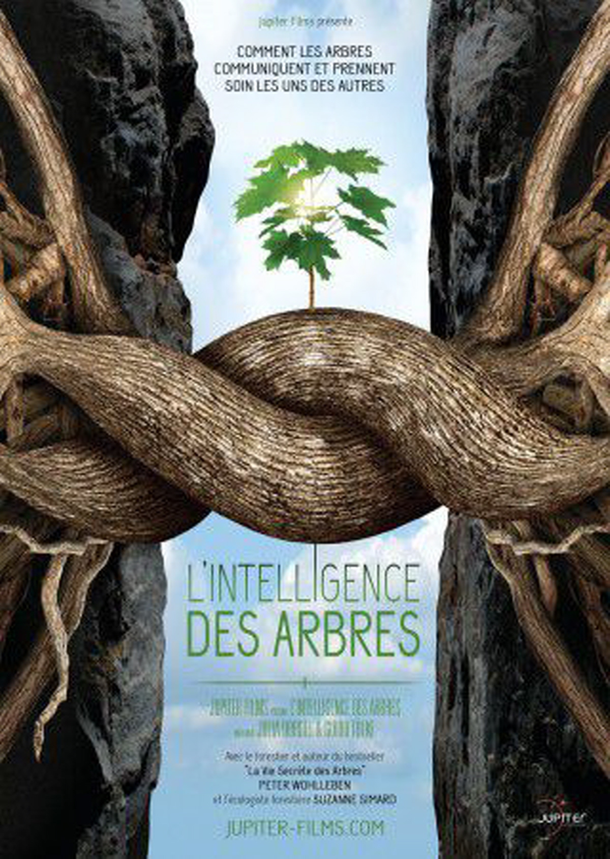 L'intelligence-des-arbres
