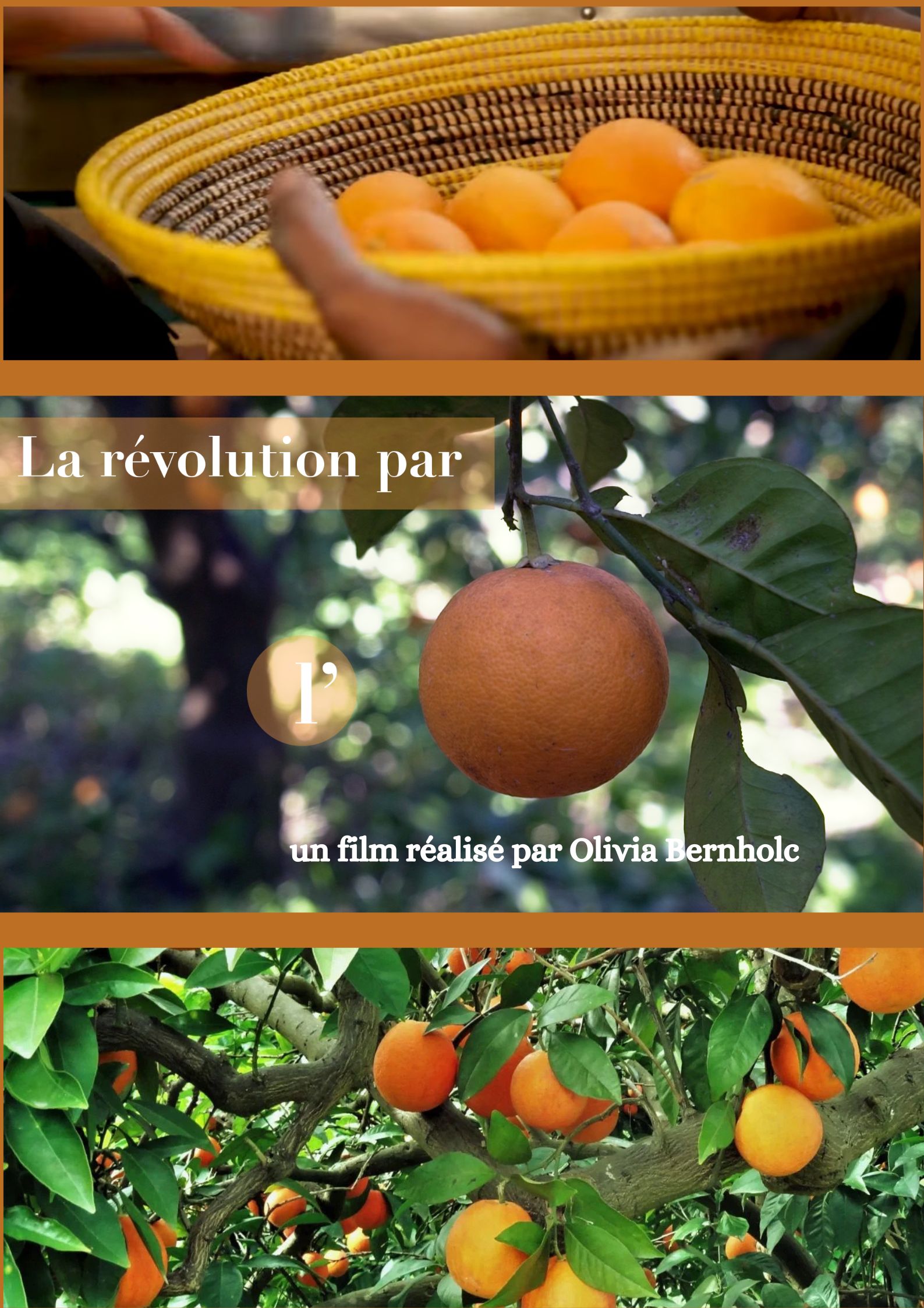 La révolution par l